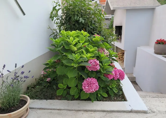 Kovacic Апартаменты *